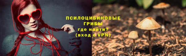 дмт Алексеевка