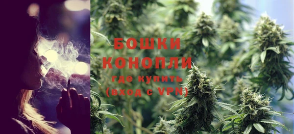 MESCALINE Аркадак