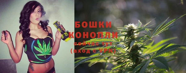 гашик Козельск